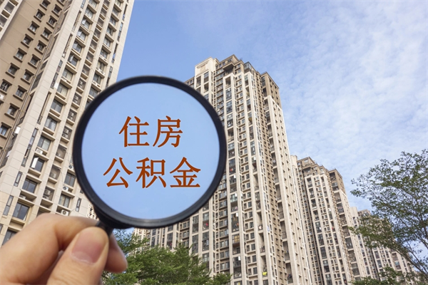 陇南上海封存公积金提取代办（陇南上海封存公积金提取条件）